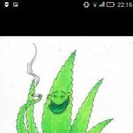 SomeWeed