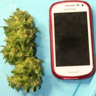 PhatNuggz