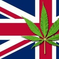 London bud
