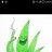 SomeWeed