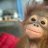 HappyMonkey