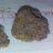 Stickybuds