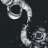 Submaster21