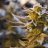 staybaked420