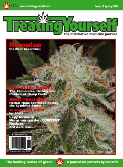 cover-ty-spring-issuejpg.jpg