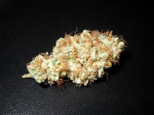 Dr GreenThumb's Oh!Zone (fem) Test Grow ~SMF~