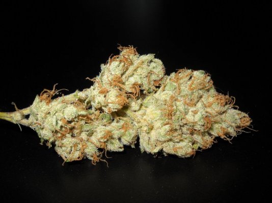 91 Chemdawg (skunkVa cut) ~smoke report