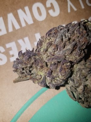Let's See Your Frostiest Flowers