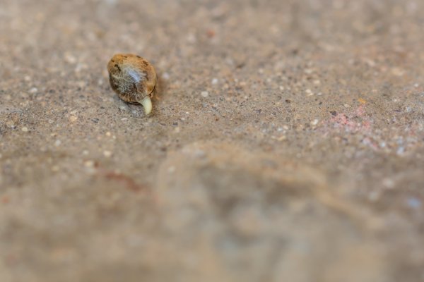 dsc_1084-edit.jpg