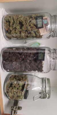 IMG-20200912-WA0002.jpeg
