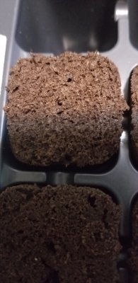 20200915_063606.jpg