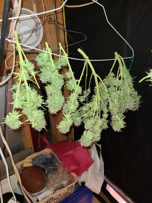 20200917_145517.jpg