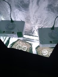 1599856075912.jpg