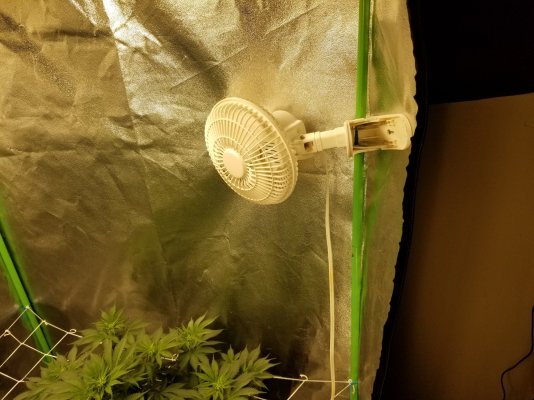 Tent hacks / tips and tricks