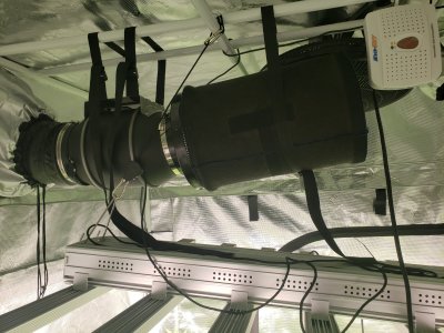 20200927_142529.jpg