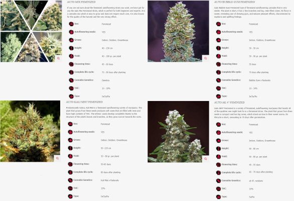 What would you choose between these strains?