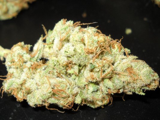 91 Chemdawg (skunkVa cut) ~smoke report