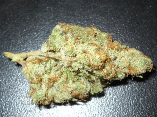 91 Chemdawg (skunkVa cut) ~smoke report