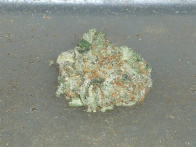 Trainwreck (1) (Large).jpg