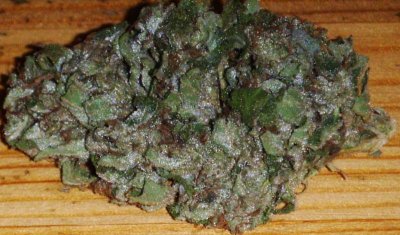 OG is it CHEMDOG 91?