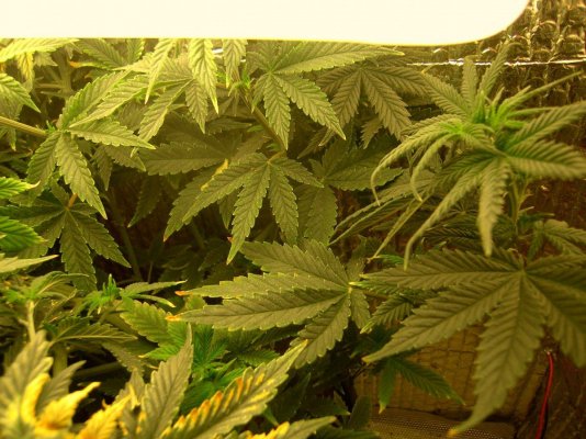 auto-hindukush-dont-fell-so-good-2.jpg