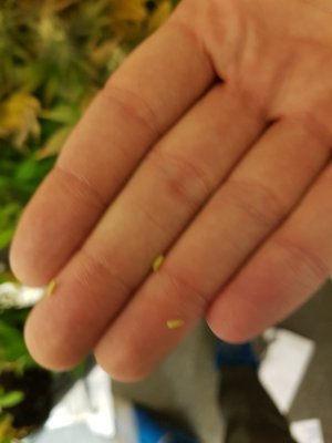 20201003_233920.jpg