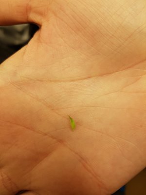 20201003_235234.jpg