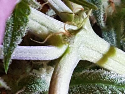 20201004_002912.jpg