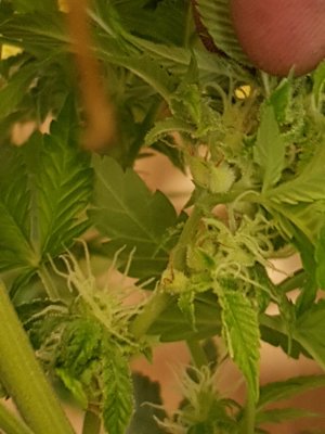 20201004_002708.jpg