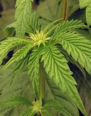 20201005_234303_HDR.jpg
