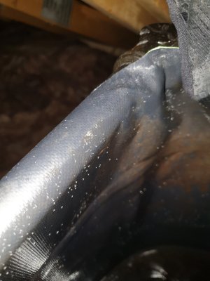 20201006_214839.jpg