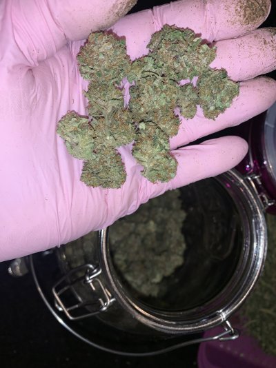 Help my buds dont really smell