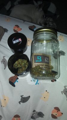 Didn't make it through the curing