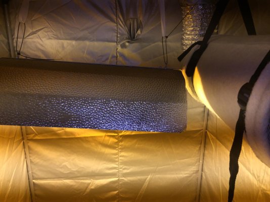 first-growing-tent-aka-newbie-here-3.jpeg