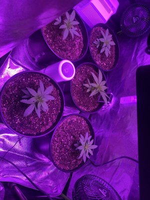 First timer! help me out
