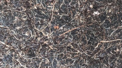 IMG_20201011_162444.jpg