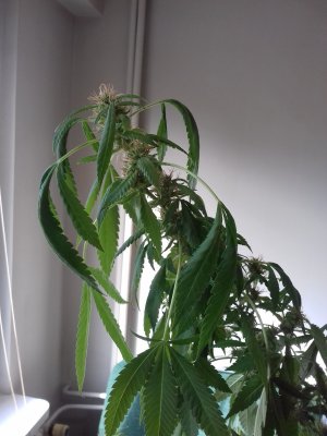 20201012_140751.jpg