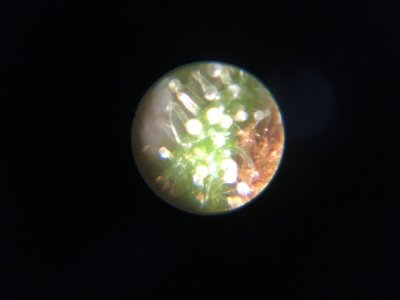 B7934D74-A8D9-4B78-9EA0-E71071F080BD.jpeg