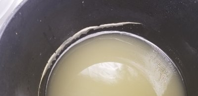 20201014_153108.jpg