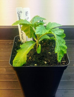 20201016_172111_HDR.jpg