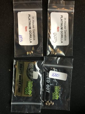 where is everyone getting Seeds!!!