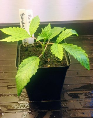 20201018_174333_HDR.jpg