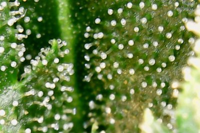 0DDF9082-A3B4-4885-BA66-79251B9C48D1.jpeg