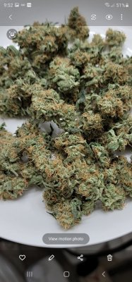 Karma Genetics  Headbanger / Mr D0p3sauce Grow Blog =]