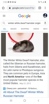 Screenshot_20201021-035047_Chrome.jpg