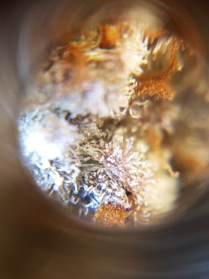 20201022_220335.jpg