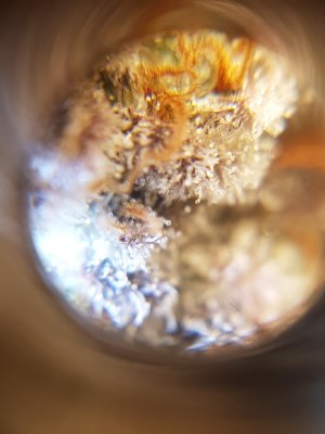 20201022_220333.jpg