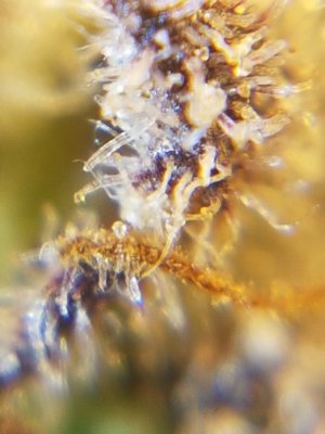 20201022_220418.jpg