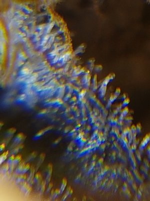 20201022_215807.jpg