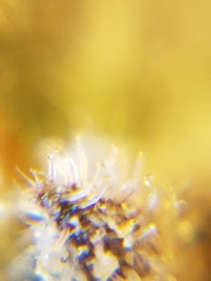 20201022_220413.jpg